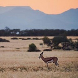 Klein Karoo landscape