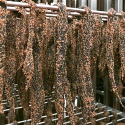 Klein Karoo Biltong Picture 03