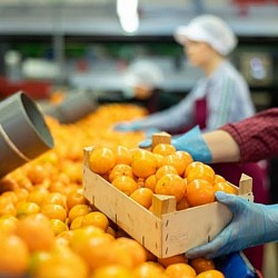 Africa Harvest Exporters - Exporting Tangerines