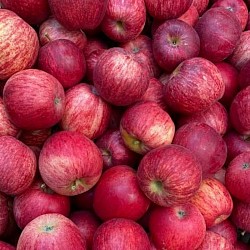 Africa Harvest Exporters - Exporting Apples