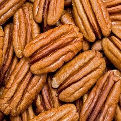 Africa Harvest Exporters - Exporting Pecans