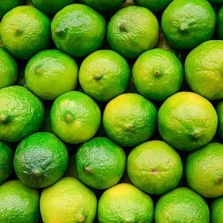 Africa Harvest Exporters - Exporting Limes