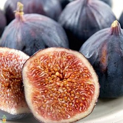 Africa Harvest Exporters - Exporting Figs