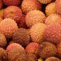 Africa Harvest Exporters - Exporting Litchis