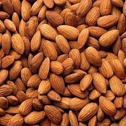 Africa Harvest Exporters - Exporting Almonds